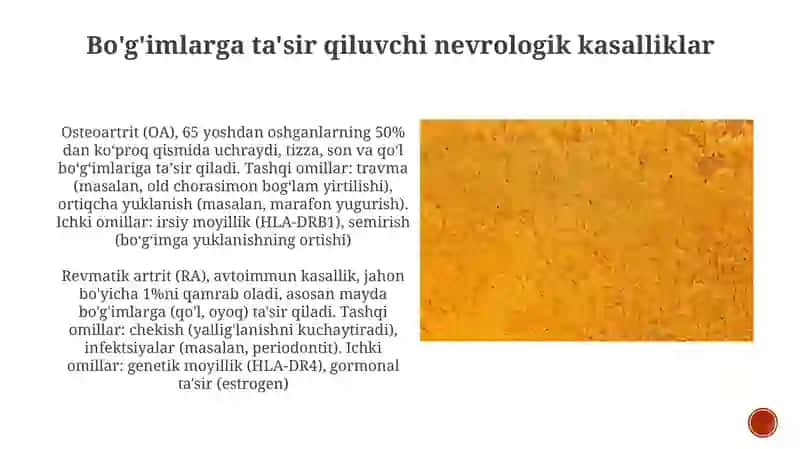 Bo‘g'imlar tuzilishiga ta'sir qiluvchi omillar 3