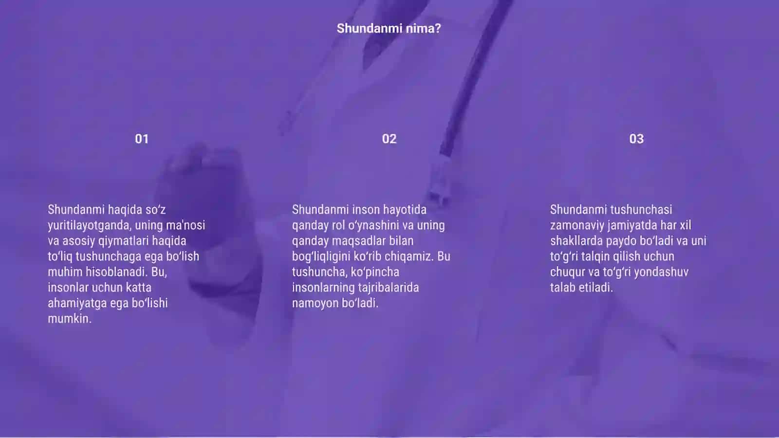 Shundanmi 3
