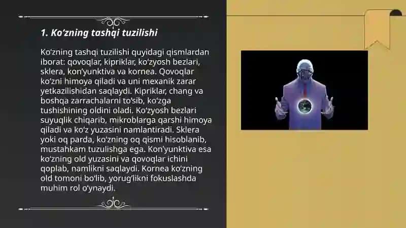 Koʻrish aʼzosining tuzilishi 3