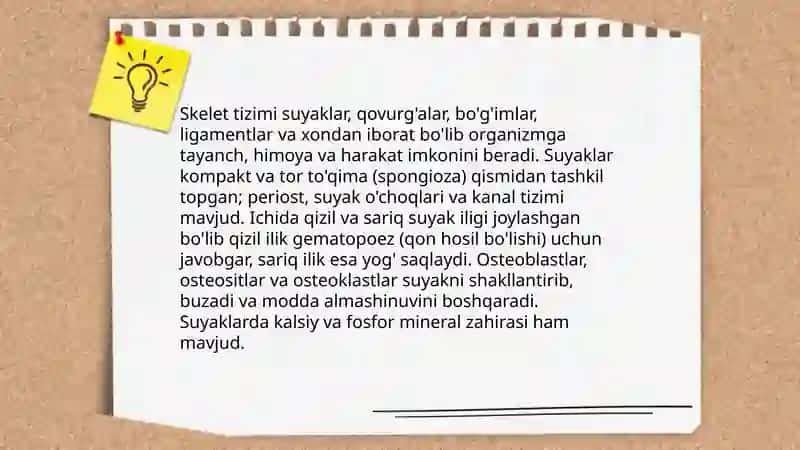 Odam tana qismlari tuzilishi 3