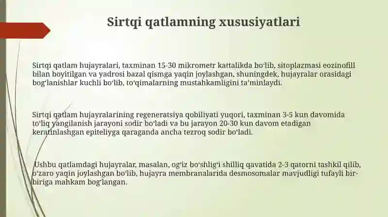 Qatlamli Naykeratinlangan Yassi Epiteli 3
