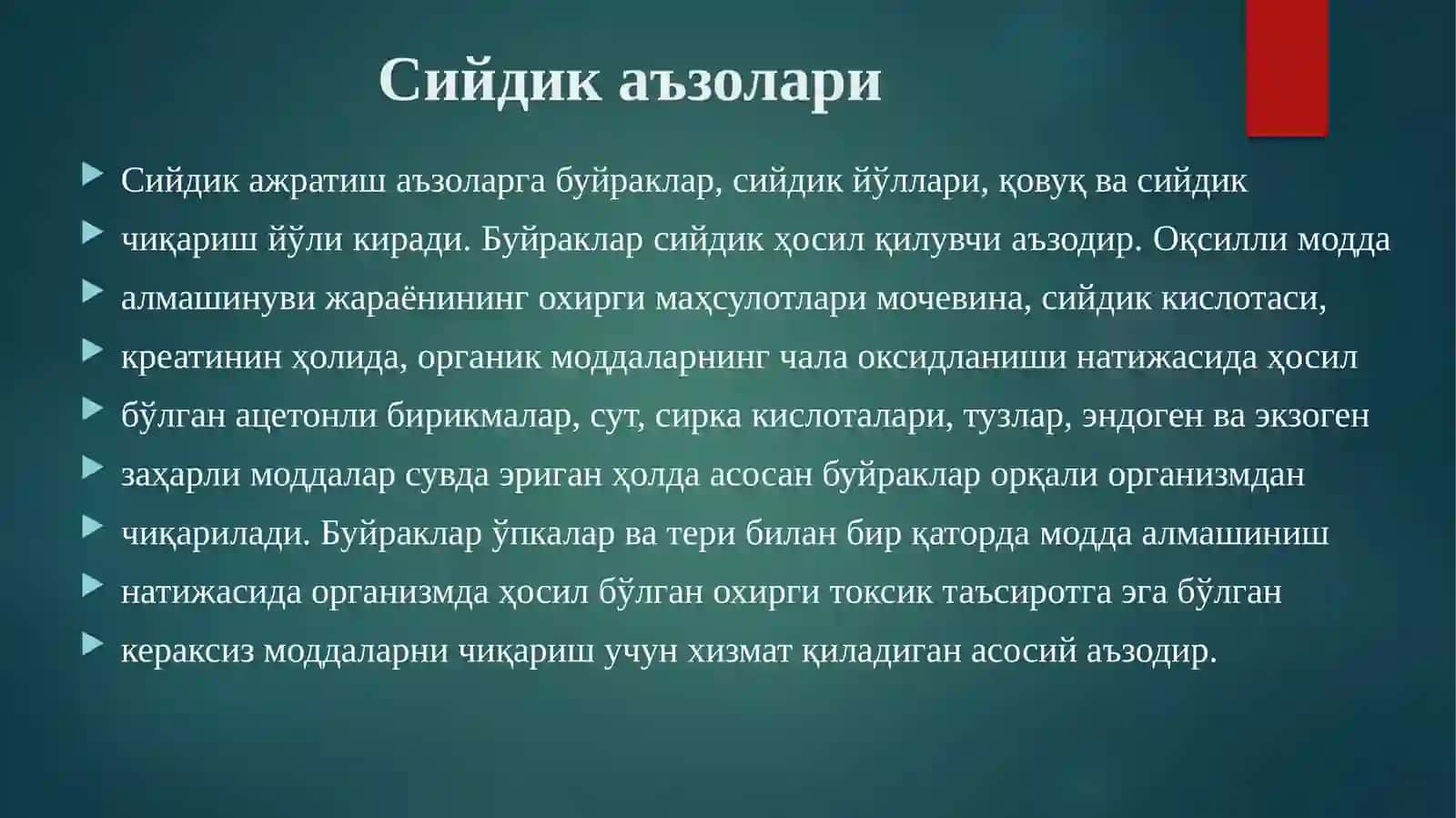 АЙИРУВ СИСТЕМАСИ ТУЗИЛИШИ ВА ФУНКЦИЯСИ 3