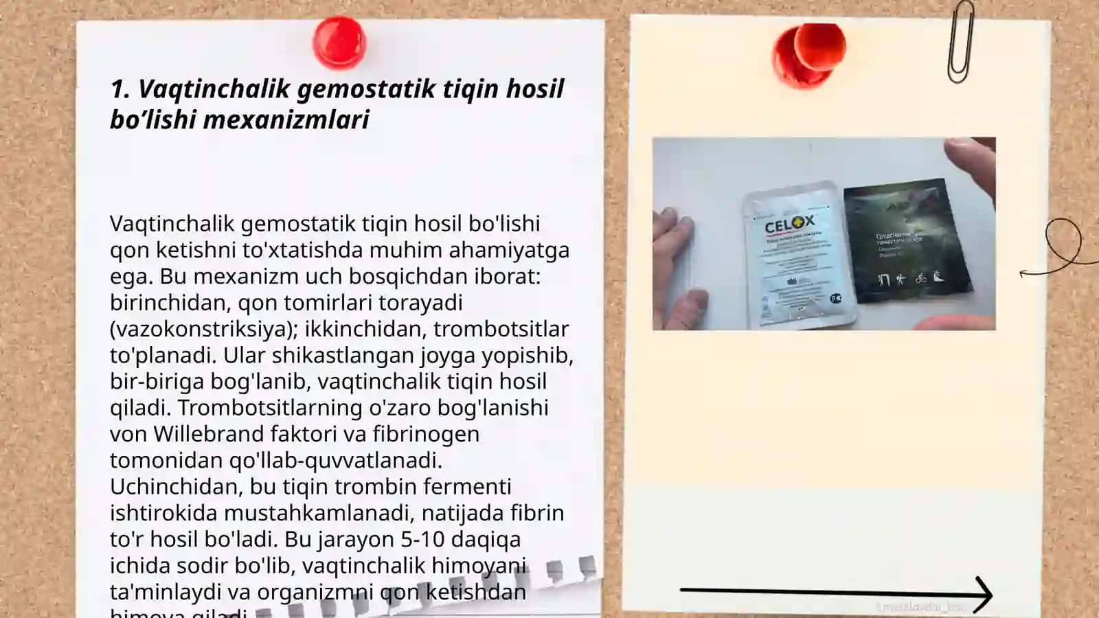 Vaqtinchalik gemostatik tiqin hosil boʼlishi 3