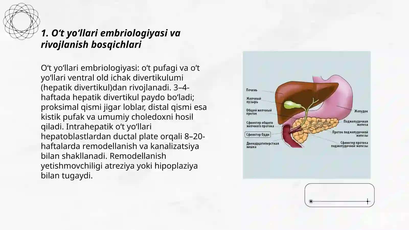 O‘t yo‘llari rivojlanish nuqsonlari 3