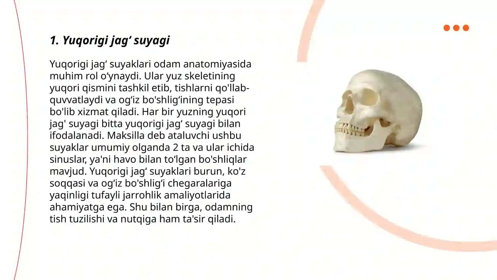 Kalla suyagining yuz qismi suyaklari.Yuqorigi va pastki jagʻ suyagi. Yuz sohasidagi mayda suyaklari 3