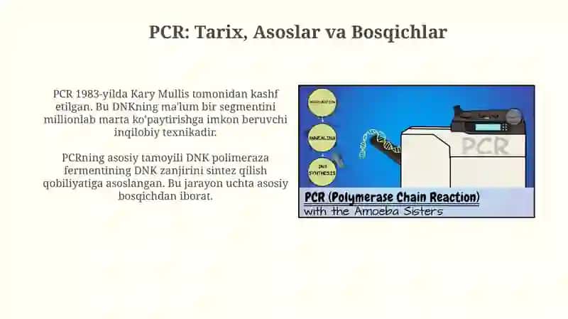 Polimeraza Zanjir reaksiyasi 3