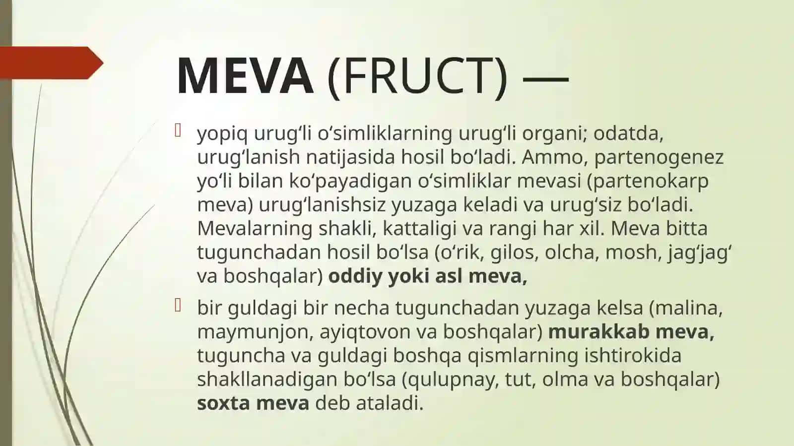 MEVALARNI SAQLASH USULLARI VA ULARNI QAYTA ISHLASH TEXNOLOGIYASI 3