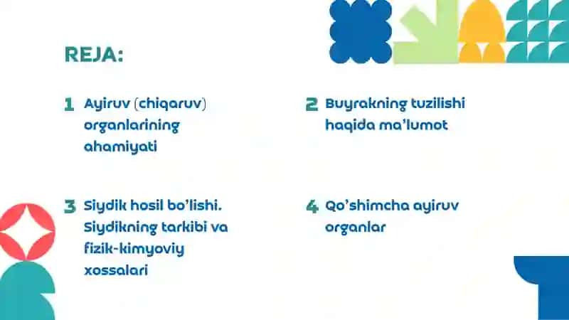 Ayiruv tizimi fiziologiyasi. Buyraklar funksiyasi. Siydik hozil bo‘lish mexanizmi. Nefronning tuzilma-faoliy tavsifi. Buyraklarning sekretor faoliyati 3