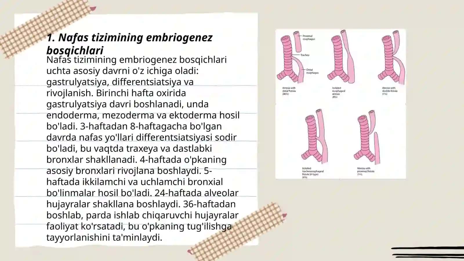 Nafas tizimi embriopatologiyasi 3