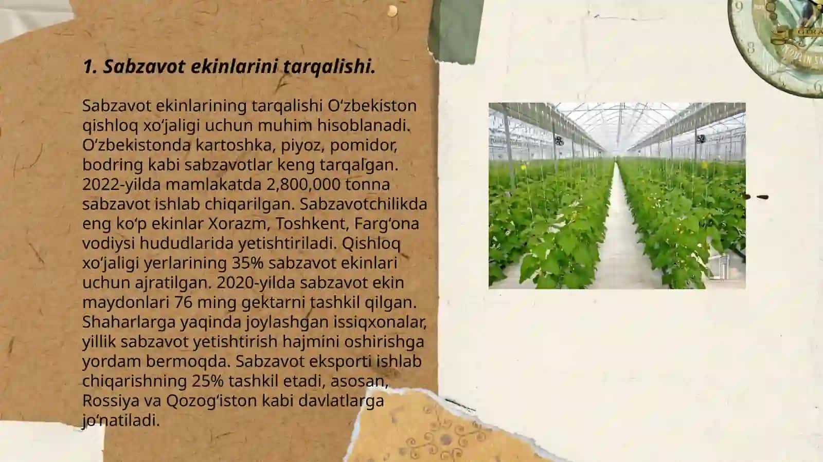 JAHONDA SABZAVOT EKINLARINI TARQALISHI, TURLARI VA YETISHTIRISHNING HOZIRGI AHVOLI 3