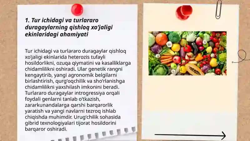Qishloq xoʻjaligi ekinlarni tur ichida va turlari duragaylarning ahamiyati 3