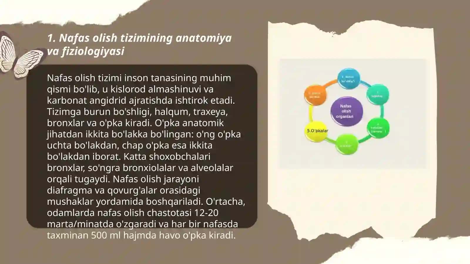 Nafas olish tizimining yosh xususiyatlari va gigiyenasi 3