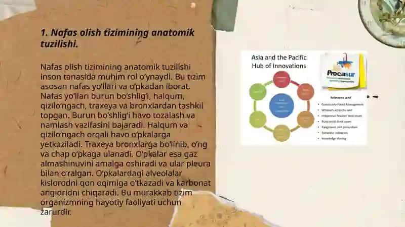 Nafas olish sistemasi faoliyatining yosh xususiyati va gigienasi 3