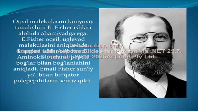 Oqsil malekulasi tuzilishining A.Ya.Danileviski va E.Fisher nazariyasi 3
