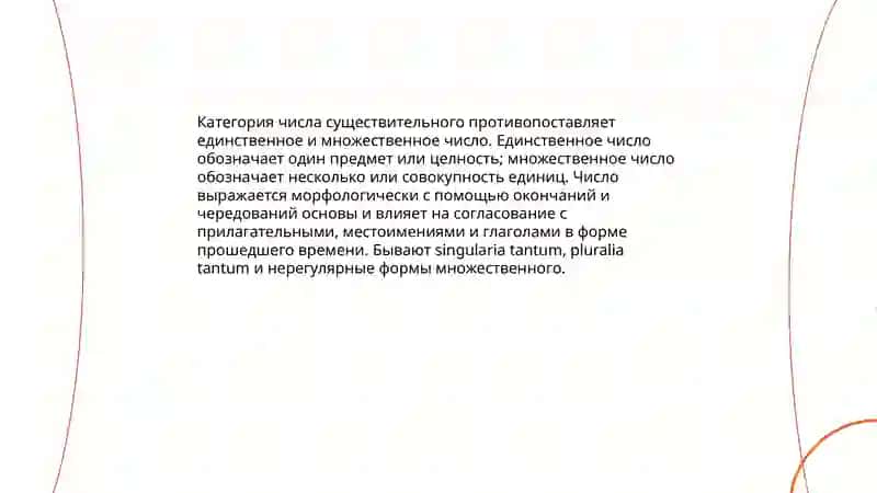 Категория числа существительного 3