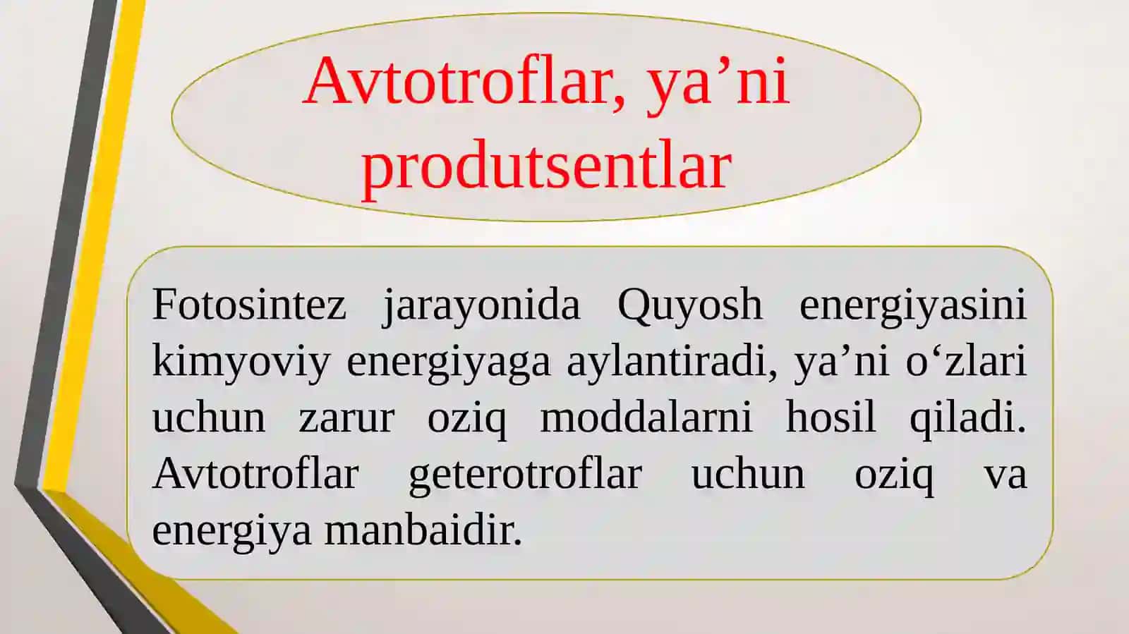 Ekosistemalarda energiya oqimi 3
