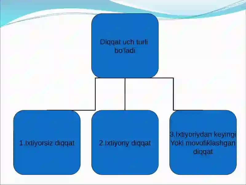 Diqqatuchturli 3