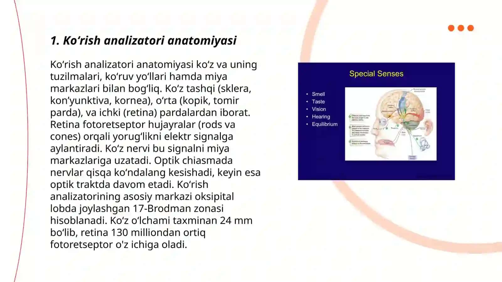 Koʻrish va eshitish analizatorlari anatomiyasi 3