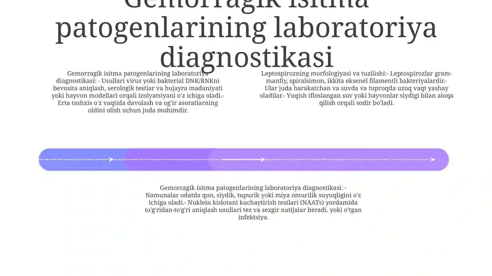 Leptospirozlar Morfologiyasi,Strukturasi Tarqalganligi, Keltirib Chiqaruvchi Kasalliklari Va Labaratoriya Tashhisi 3