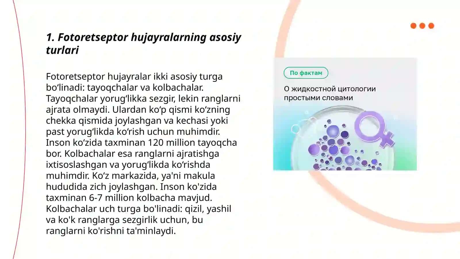 Gematooftalmik to'siqning ultrastrukturasi 3