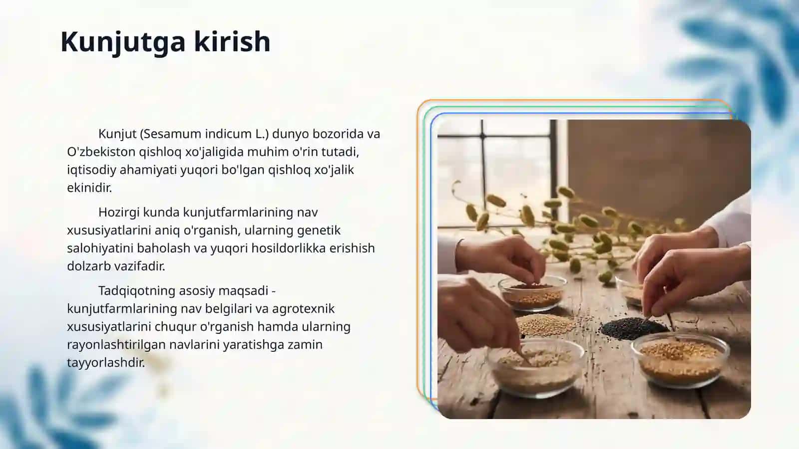 Kunjut navlarining nav belgilari va xususiyatlari 3