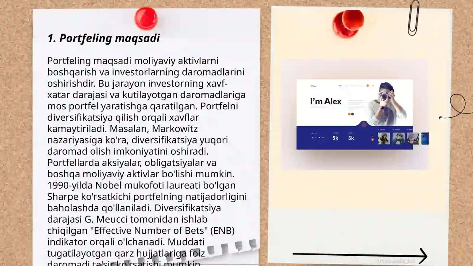 Portifoliya 3