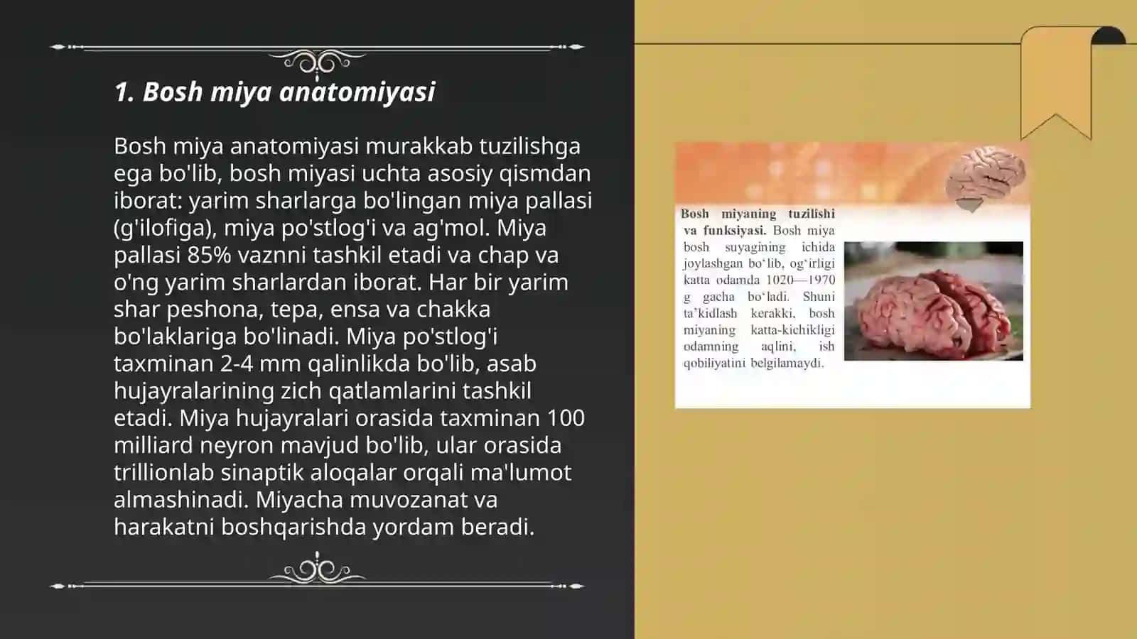 Bosh miya tõğrisida slay tayorlash 3