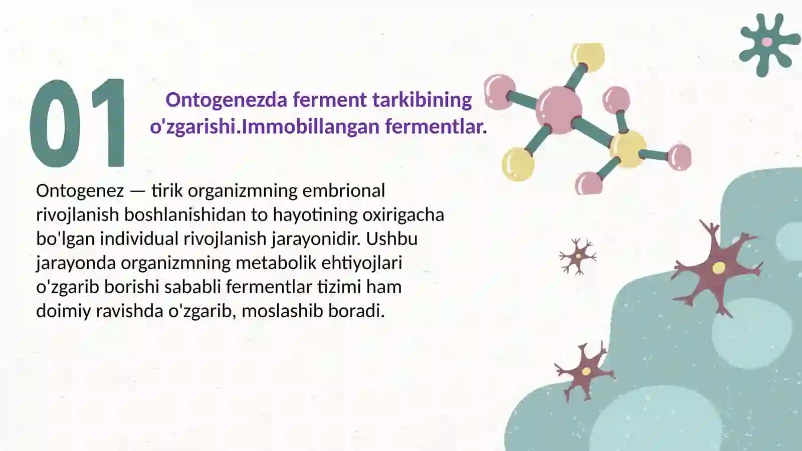 Fermentlar haqida umumiy tushuncha 3