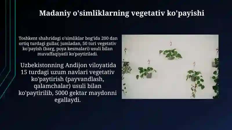 Oʻsimliklarning vegetativ koʻpayishi mavzusida taqdimot 3