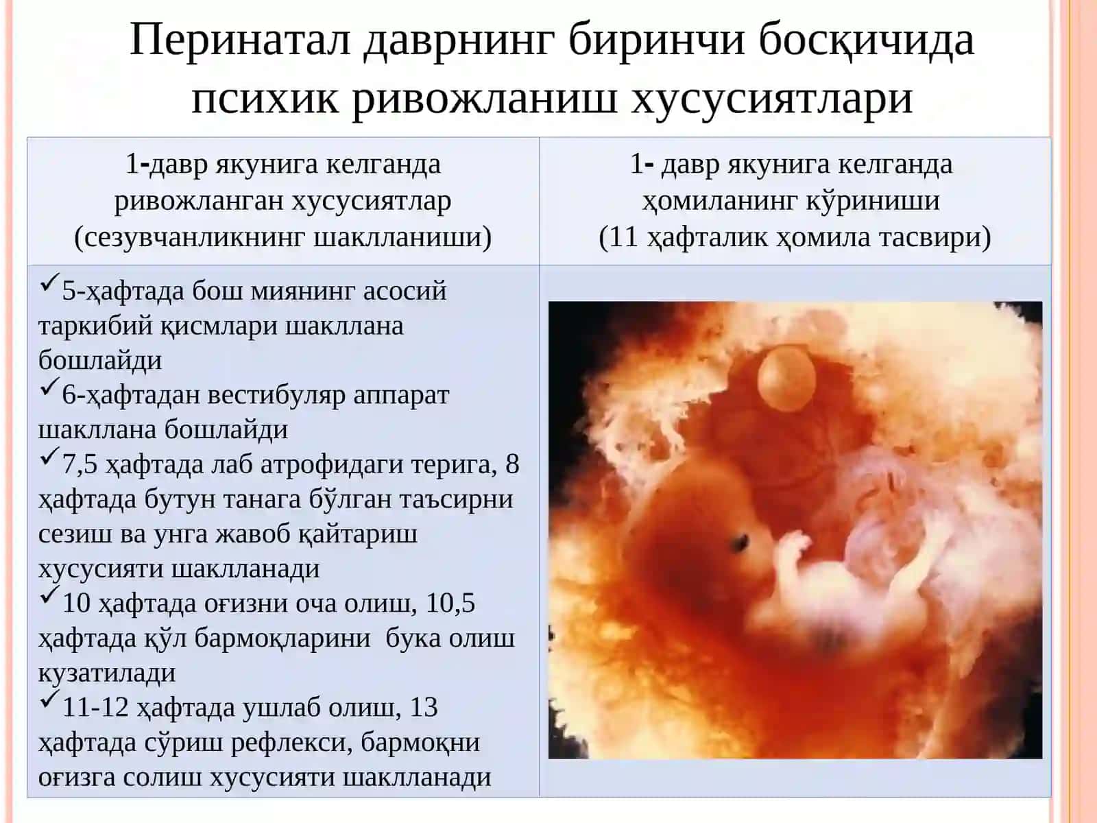 Онтогенезнинг илк босқичларида инсоннинг психик ривожланишига хос хусусиятлари 3