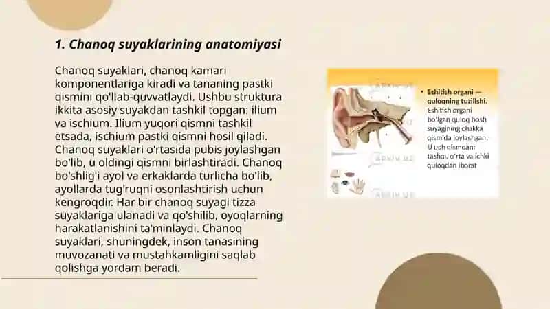 Chanoq kamari va oyoqning erkin suyaklari 3