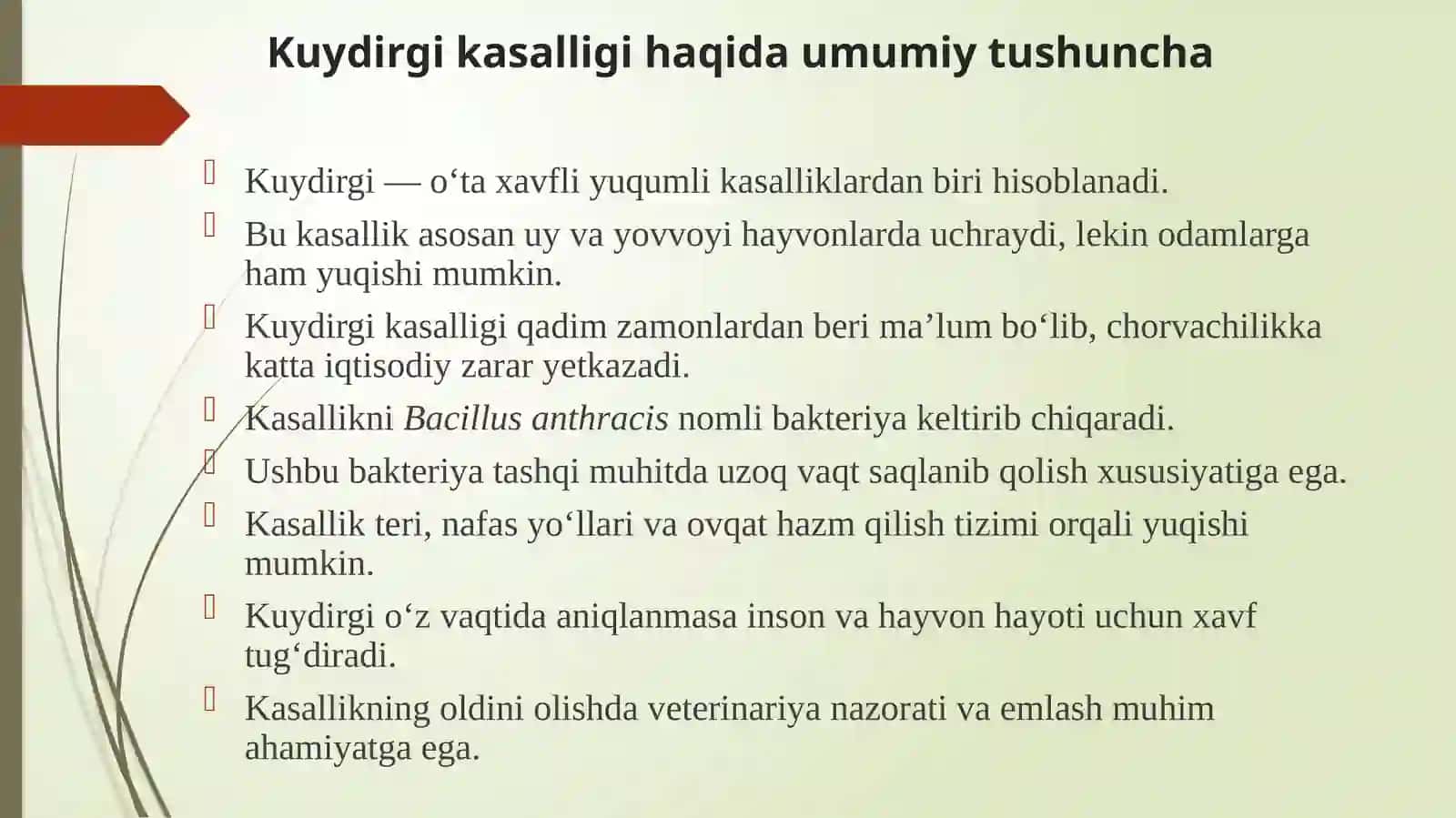 Kuydurgi 3