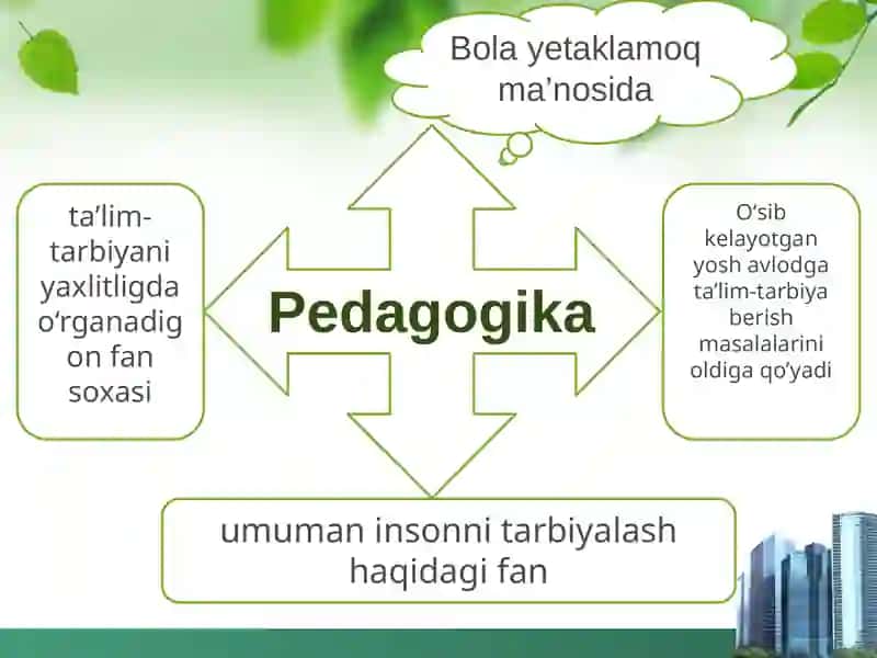 Pedagogika 3