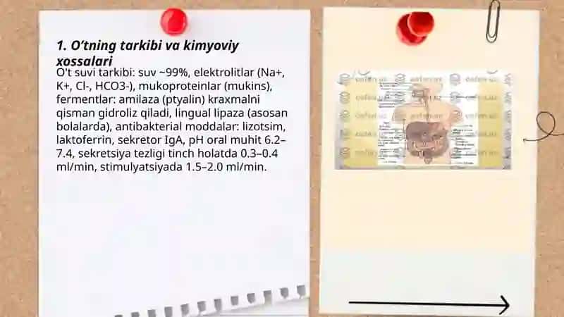 O'tning hazm jarayonlarda ishtiroki Rozikva Go'zal 3