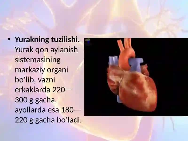 Qonaylanish sistemasi haqida umumiy tushuncha 3