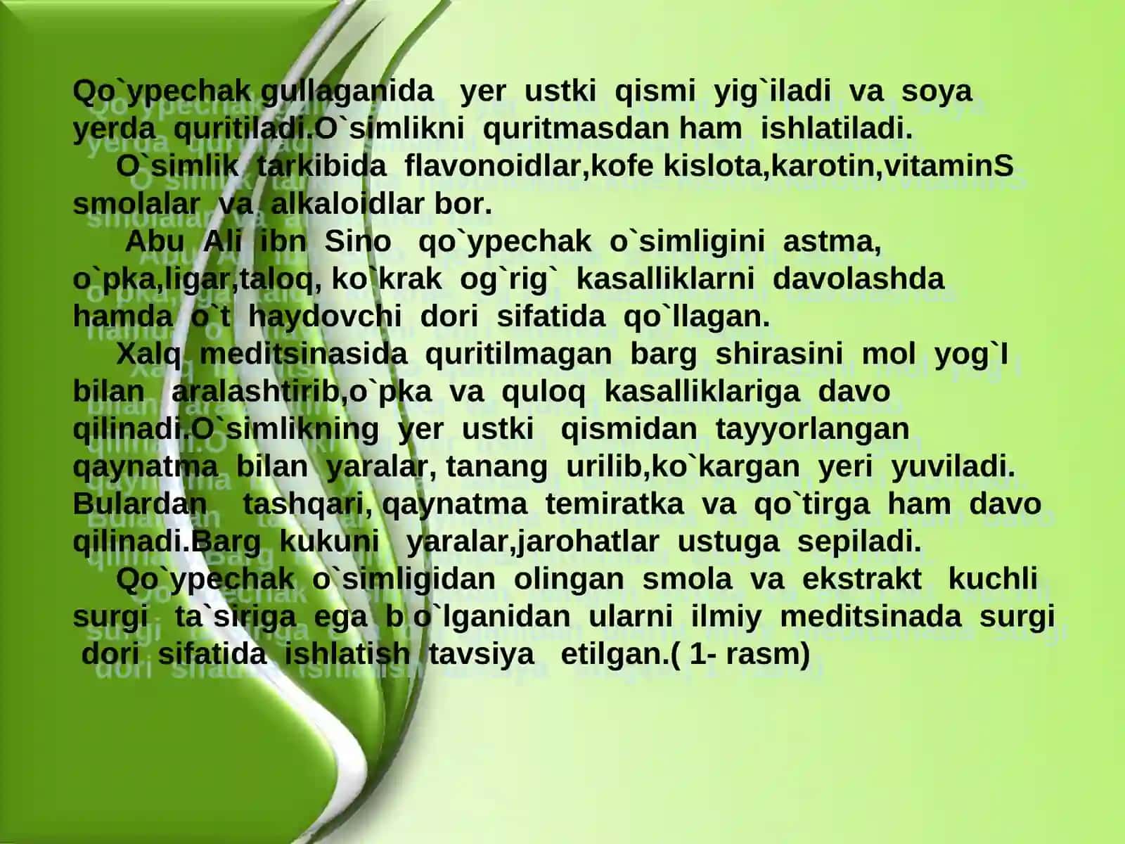 Dorivor o`simliklar 3