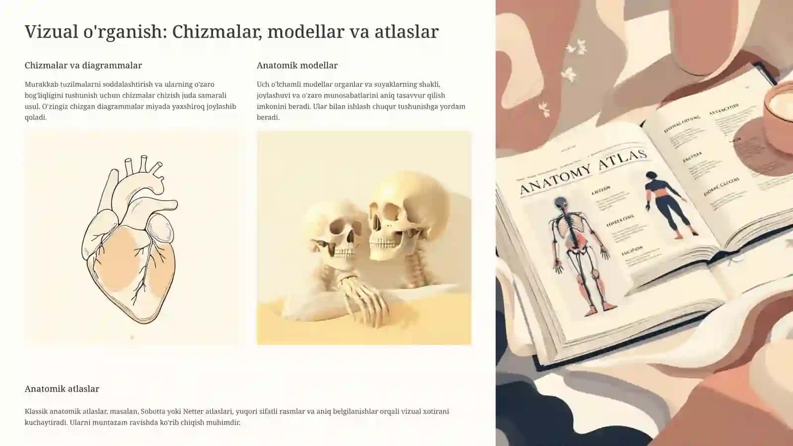 Anatomiyani O'rganishning Samarali Usullari 3