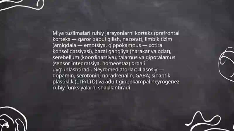 Miya va psixika oʻrtasidagi funksional bogʻliqlik 3