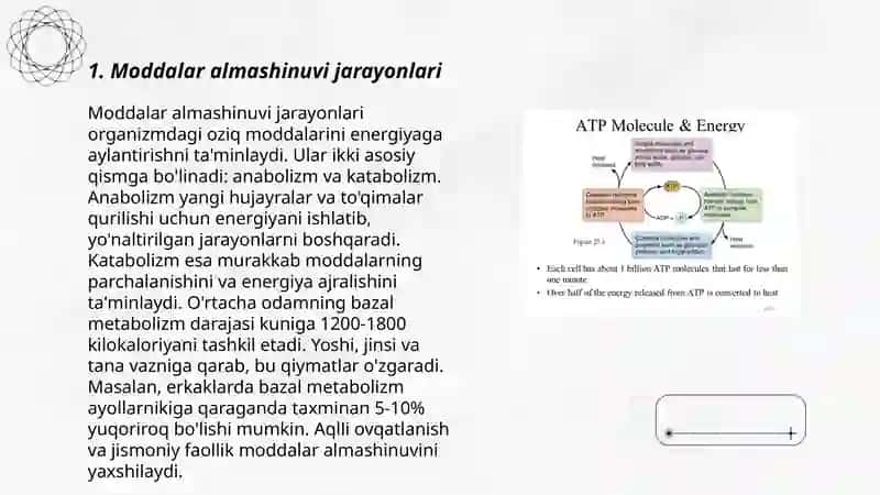 Modda va energiya almashinuvi fiziologiyasi 3