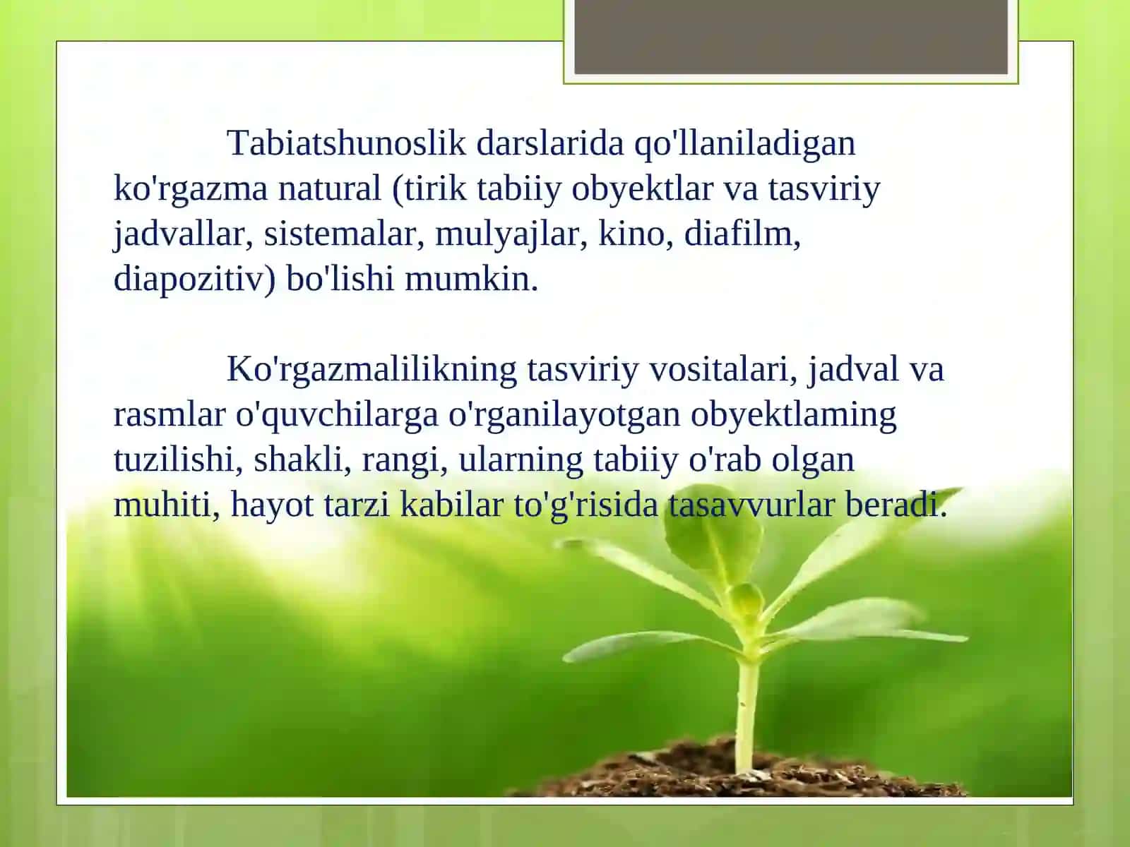 Kuzatish va ijodiy daftarlarni yuritishning xususiyatlari 3