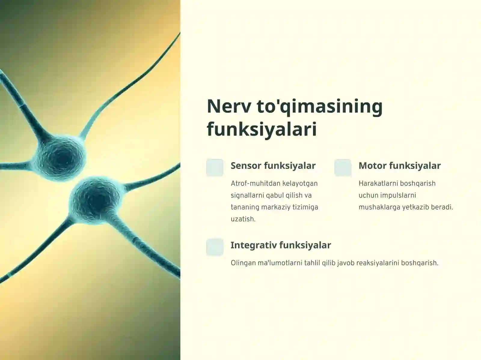 Nerv to'qimasining degeneratsiyasi va regeneratsiyasi mexanizmlari 3