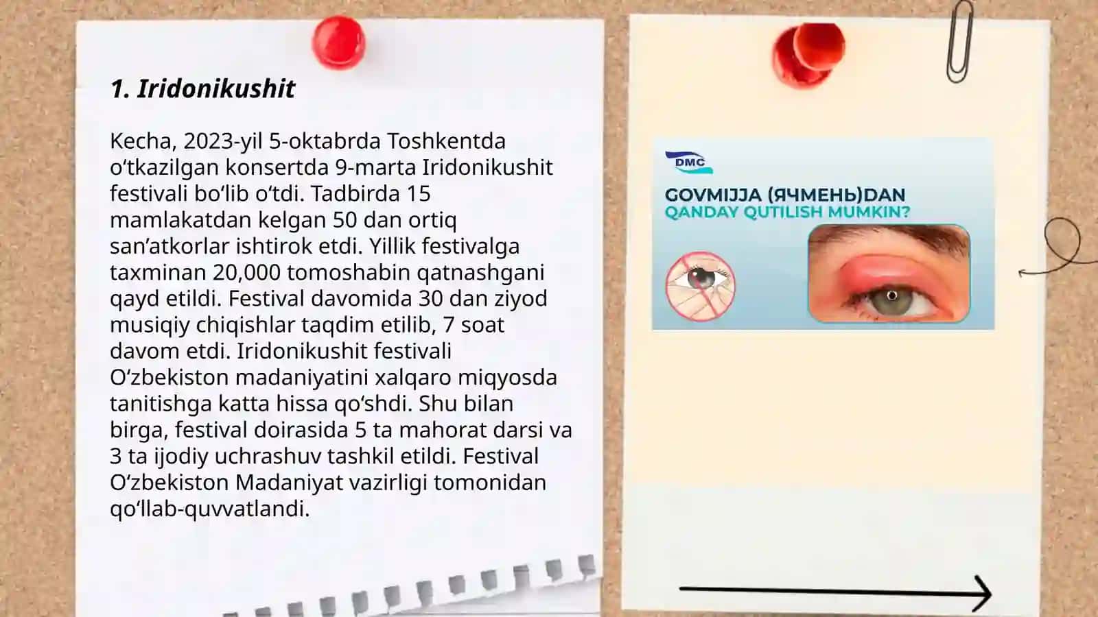 Iridonikushit 3