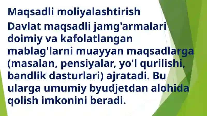 Davlat maqsadli jamg'armalarining byudjet tizimidagi o'rniva va ahmiyati 3