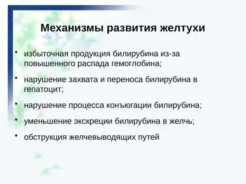 Желтуха (icterus) 3