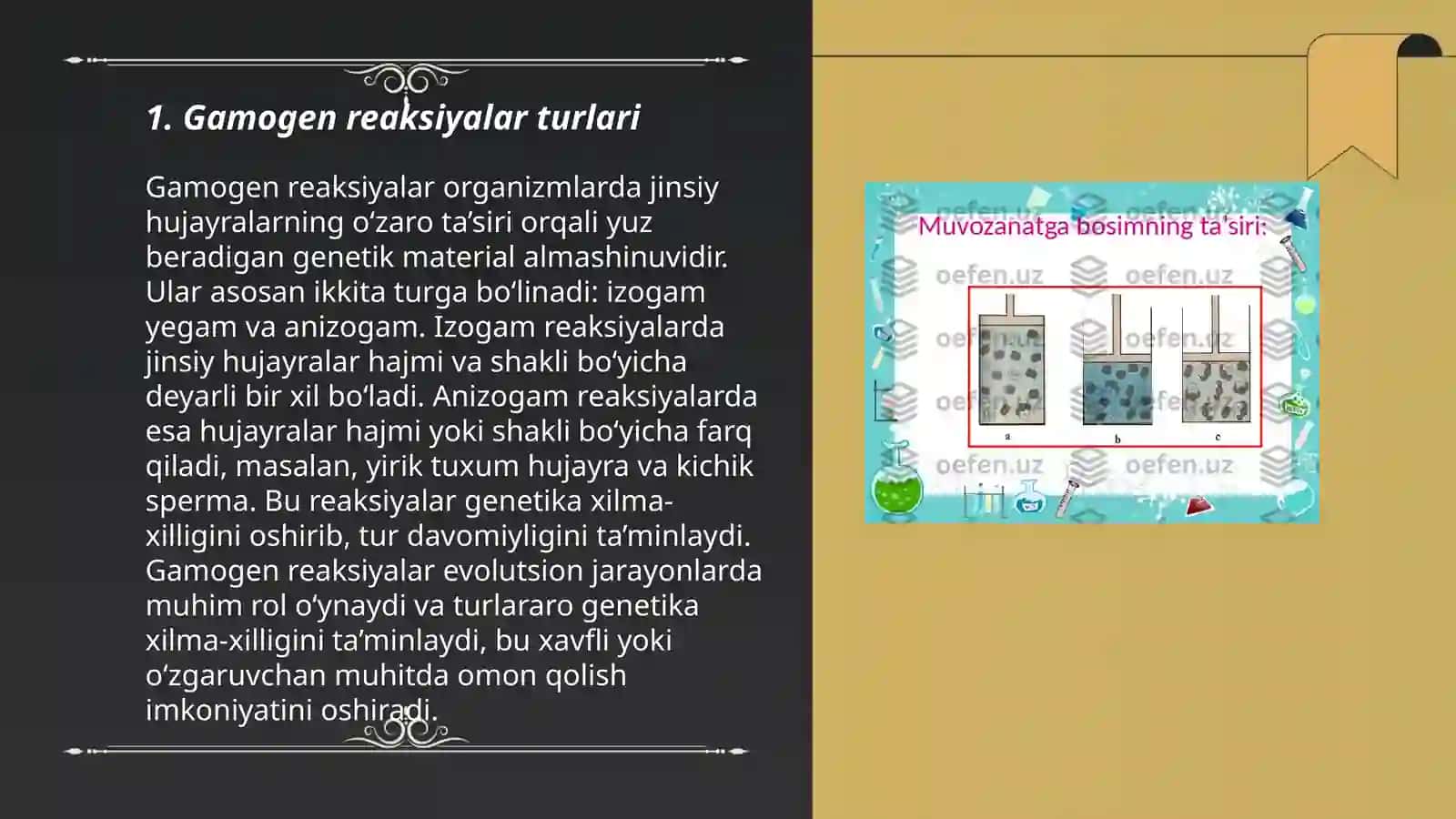 Gamogen reaksiyalar 3