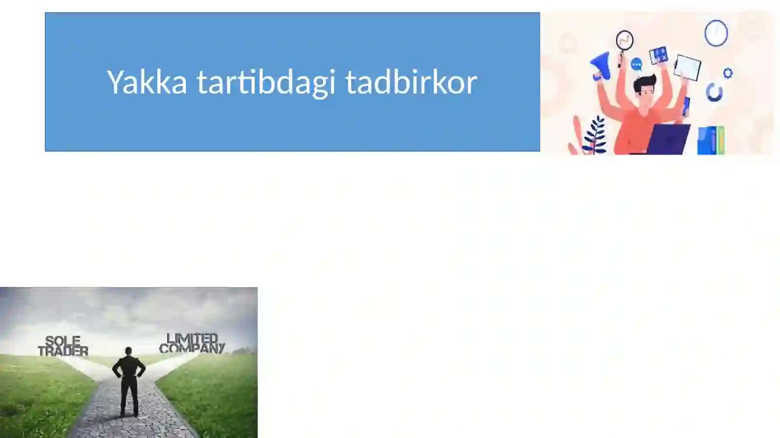 Korporatsiya turlari 3