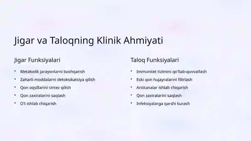 Jigar va Taloq Anatomiyasi 3