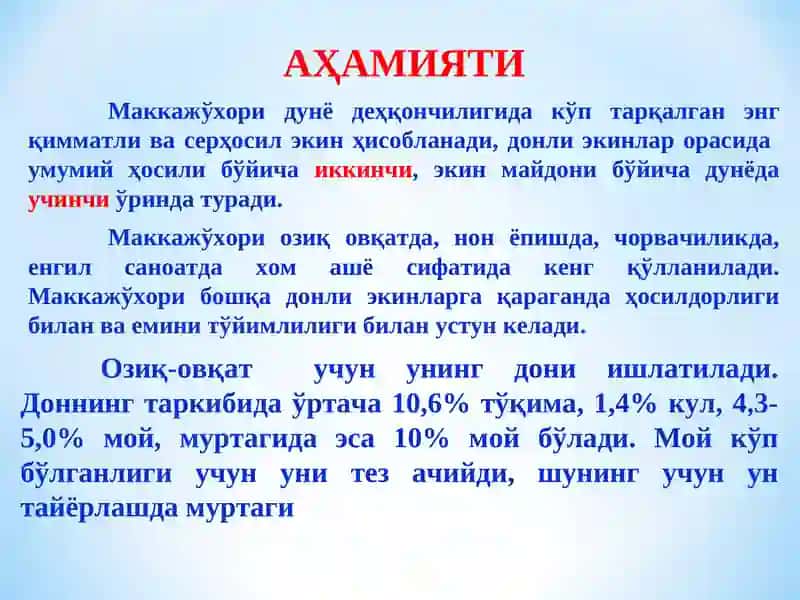 Маккажўхори аҳамияти, биологияси ва замонавий етиштириш технологияси 3