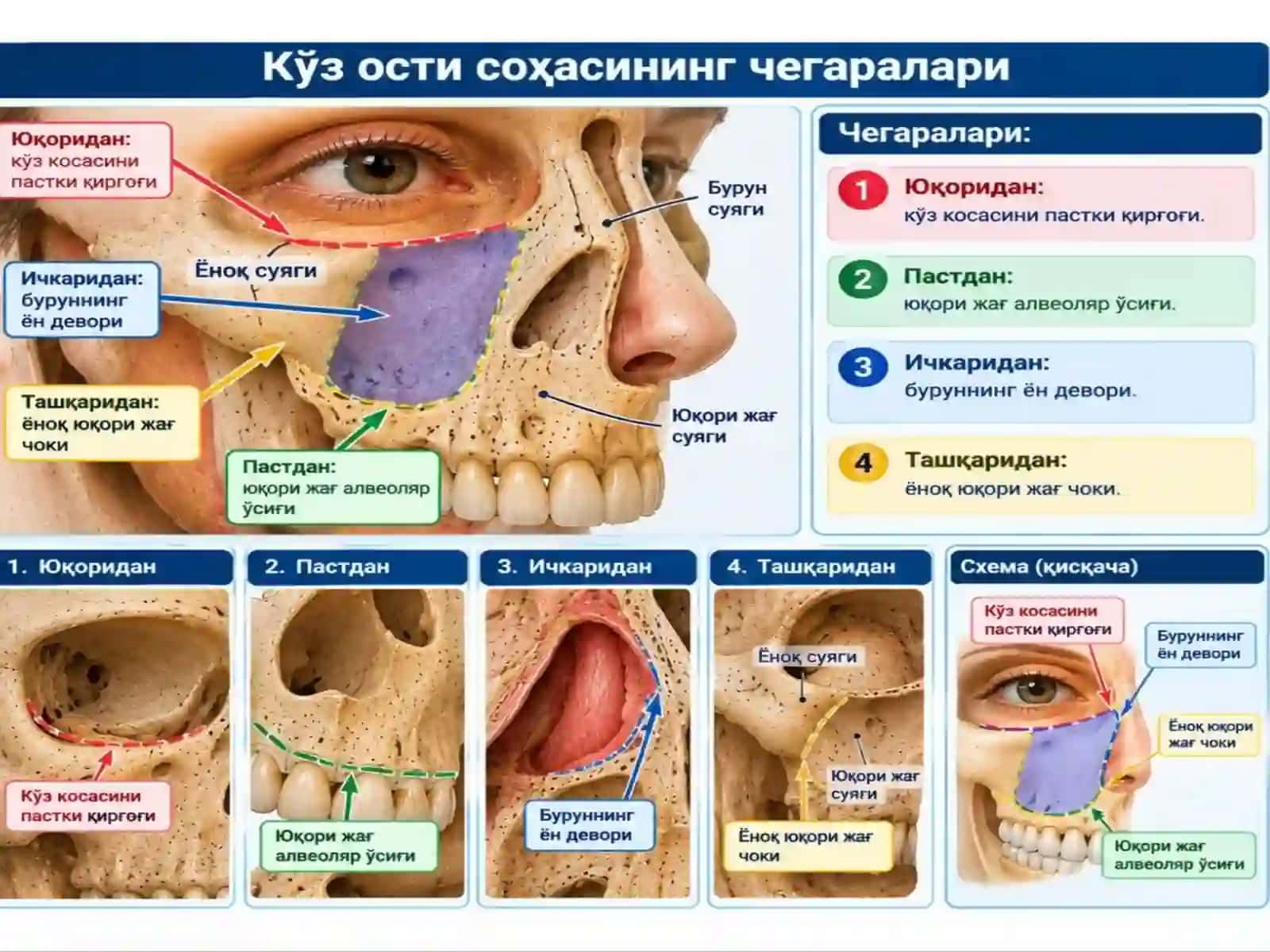 Юқори жағ атрофи тўқималаридаги абсцесс ва флегмоналар 3