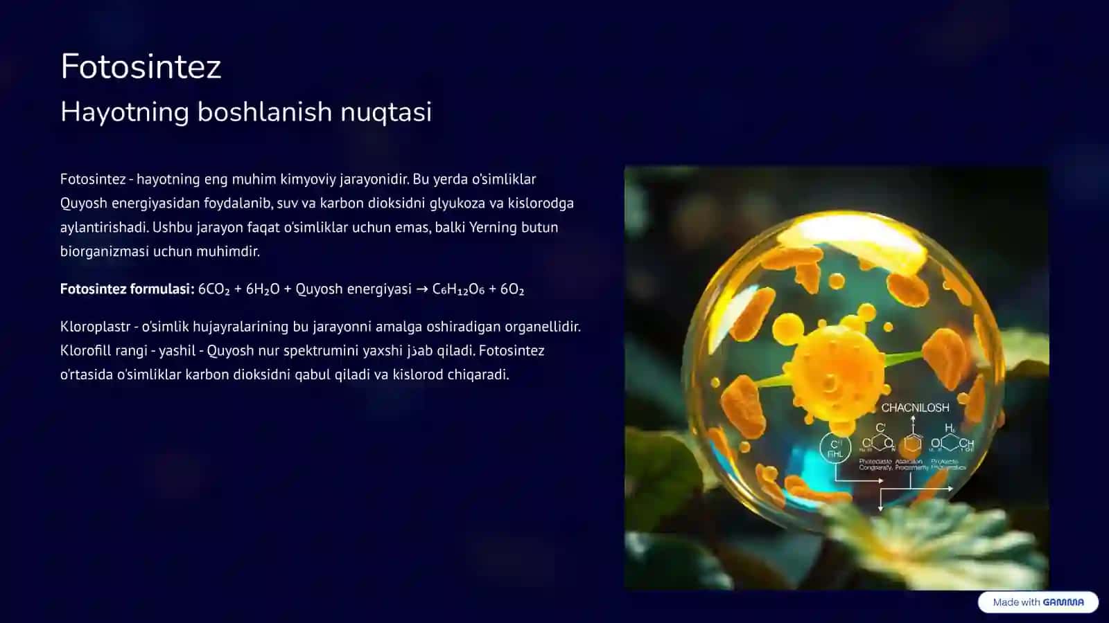 O’simliklarhayoti va yashash muhiti 3